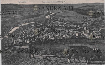DIEKIRCH. Cartolina postale con veduta di Herrenbe