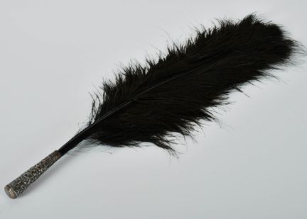 « Une plume indienne », la plume noire dotée d'un 