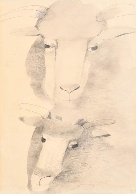 玛丽·纽科姆（1922-2008），英国艺术家。《羊头》，铅笔画，署有姓名首字母，背面标签上有题记，