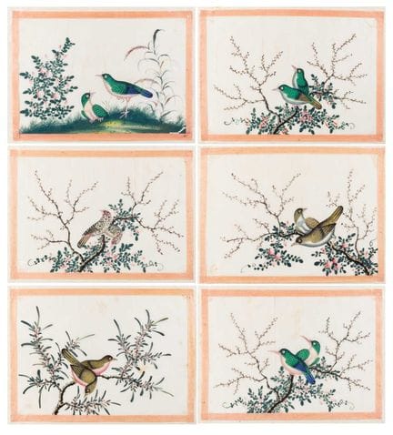 École chinoise (XIXe siècle) Études d'oiseaux sur 