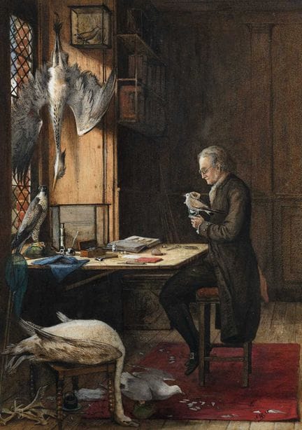 Arthur Burchett (1853-1927) Taxidermist at his ben