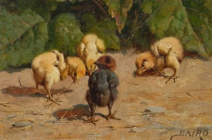 William Baptiste Baird (1847-1917) American Chicks