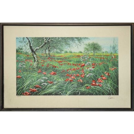 Amedeo Cianci - Champ de coquelicots  h 35 x 50 cm