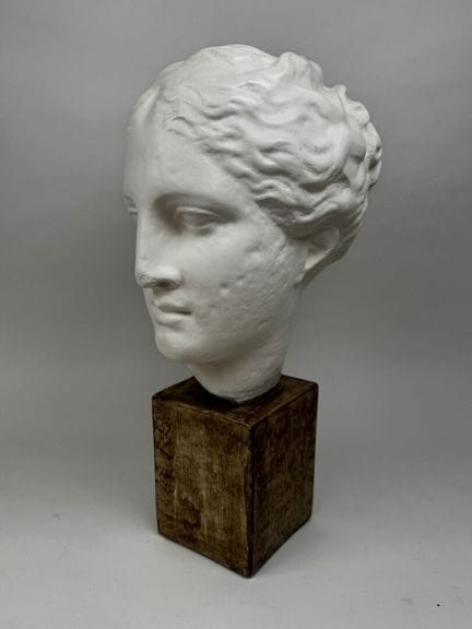 School, 20th century.
Woman's head.
Large plaster 