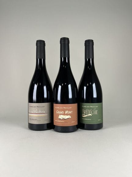 **BOURGUEIL.
Aurélien Revillot.
Les Aubuis. 2020. 