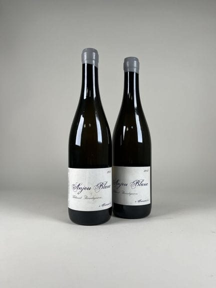 ANJOU BLANC.
Thibault Boudignon.
2013. 2 bt.