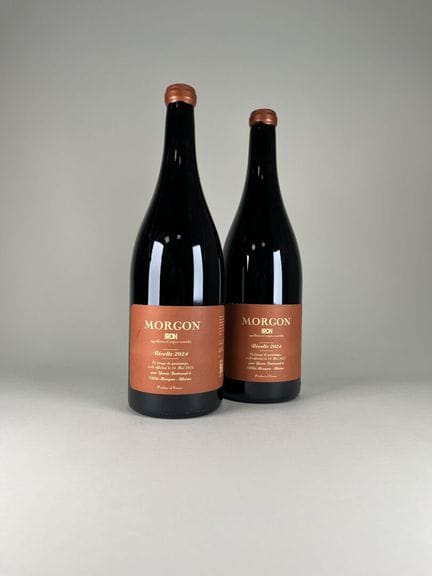 **MORGON.
Yann Bertrand.
Iron. 2024. 2 magnums.
TV