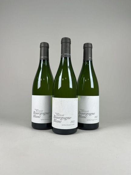 **BOURGOGNE BLANC.
Domaine Roulot.
2022. 3 bt.
TVA
