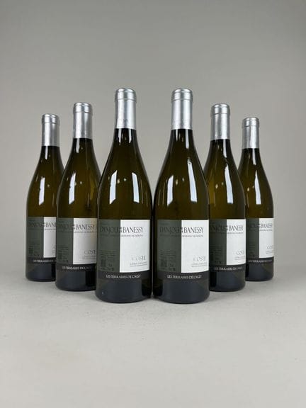**COSTAS CATALANAS.
Finca Danjou-Banessy.
Coste. 2