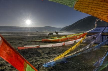 Matthieu RICARD (Born in 1946)
Horses and prayer f