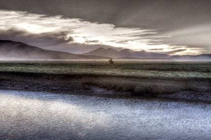 Matthieu RICARD (Born in 1946)
Horseman at Dusk on