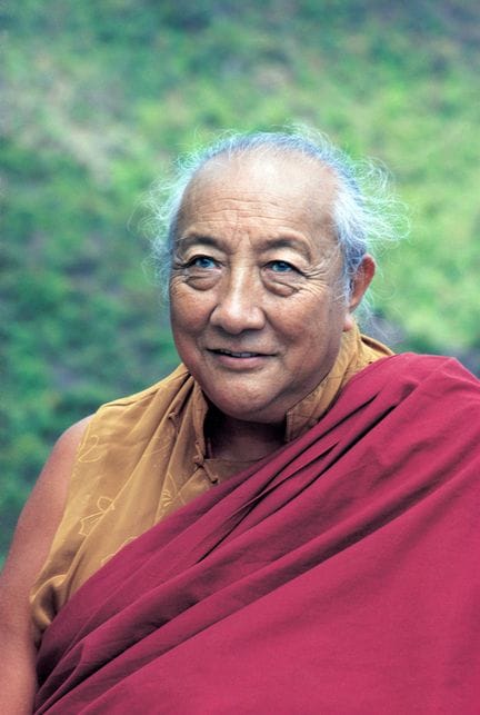 Matthieu RICARD (Born in 1946)
Dilgo Khyentse Rinp