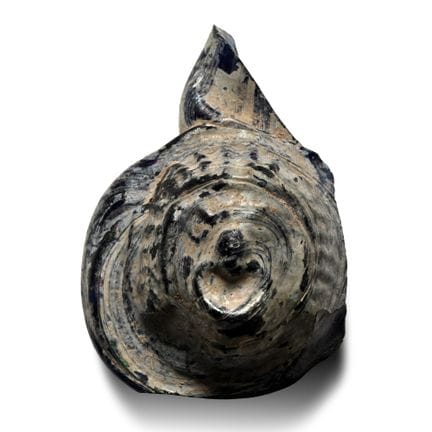 Frammento di vaso romano in vetro blu scuro con ma