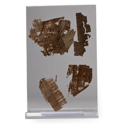 Egyptian Papyrus Fragments in Display Stand. Demot