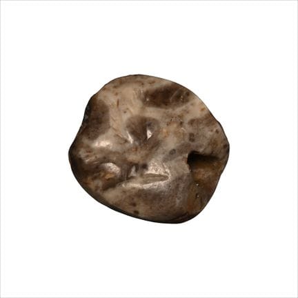 Phoenician Marbled Grey Stone Scarab with Bird. La