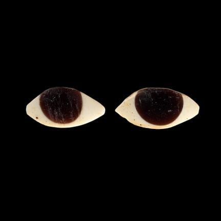 Egyptian Glass Eye Inlays. Ptolemaic Period, 332-3