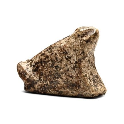 Egyptian Amulet in the Shape of a Squatting Frog. 