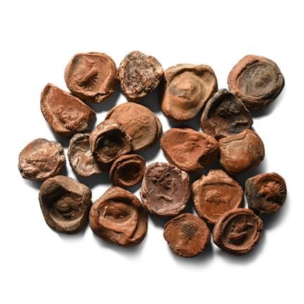 Roman Terracotta Bullae, Tesserae or Token Group. 