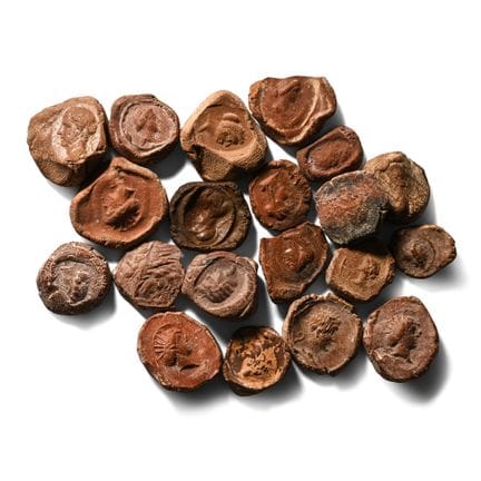 Roman Terracotta Bullae, Tesserae or Token Group. 