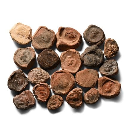 Roman Terracotta Bullae, Tesserae or Token Group. 