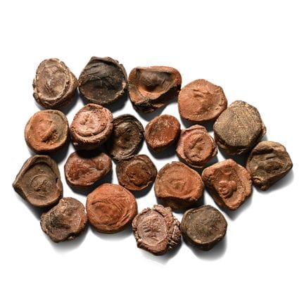 Roman Terracotta Bullae, Tesserae or Token Group. 
