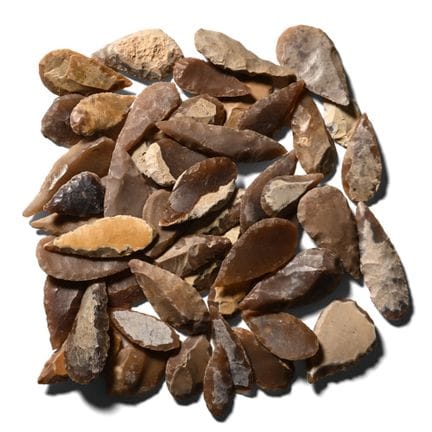 Collection de pointes de flèches de types variés d