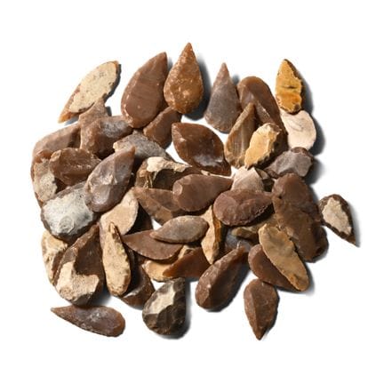 Collection de pointes de flèches de types variés d
