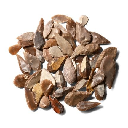 Collection de pointes de flèches de types variés d