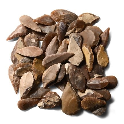 Collection de pointes de flèches de types variés d