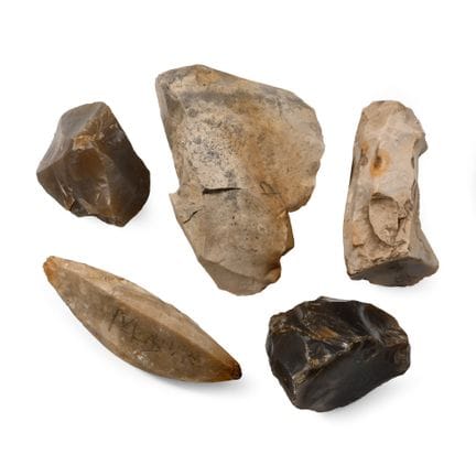 Collection de noyaux de lames en silex taillés de 