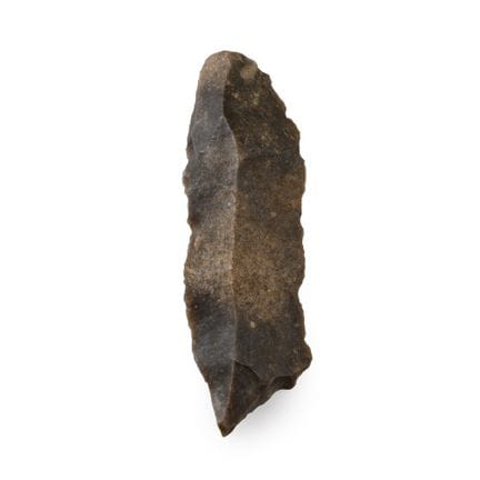 Burbín del Gravetiense de la Edad de Piedra france