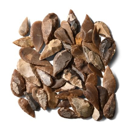 Colección de puntas de flecha de tipo mixto de la 