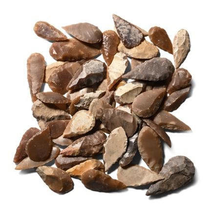 Collection de pointes de flèches de types variés d