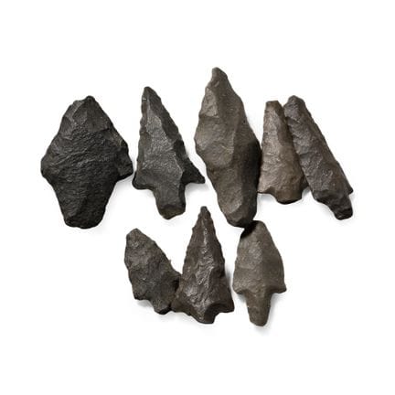 Collection de pointes de flèches de l'âge de pierr