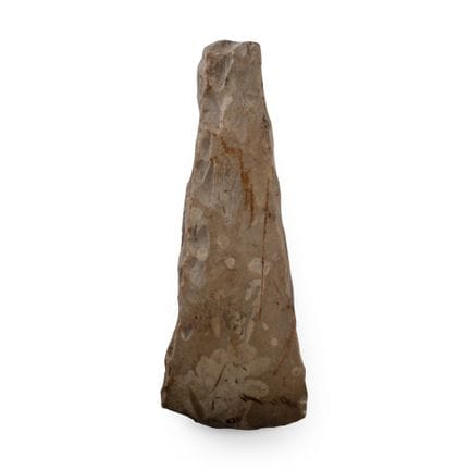 Tête de hache danoise de l'Âge de pierre, taillée,