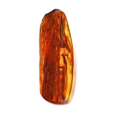 Polished Baltic Amber with Large Fly and Other Inc