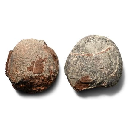 Fossil Hadrosaur Egg Pair. Cretaceous Period, circ