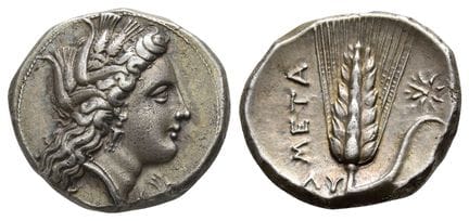 Lucania, Metapontion AR Didrachm or Nomos. . Lucan