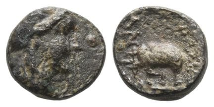 Seleukid Empire, Antiochos III AE Chalkous. . Sele