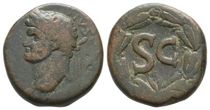 Domitian AE 27mm of Antioch, Seleucis and Pieria. 