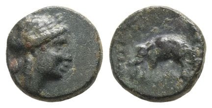 Seleukid Empire, Antiochos III AE Chalkous. . Sele