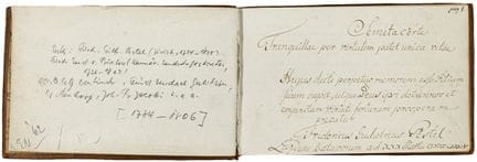Liber amicorum - Album Amicorum C. F. Pestel. Anno