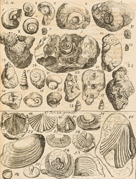 Geologia - Hermann, Leonhard David. *Maslographia*