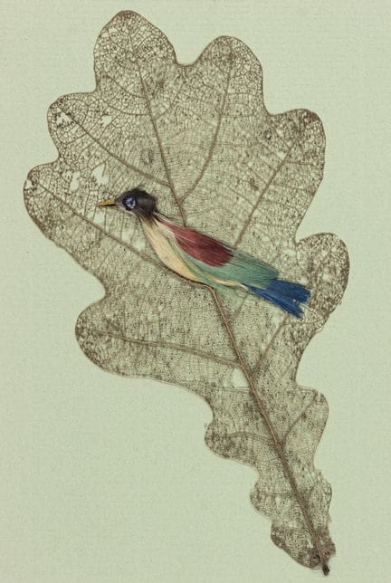 Collagene naturale. Tre biglietti di auguri, ciasc