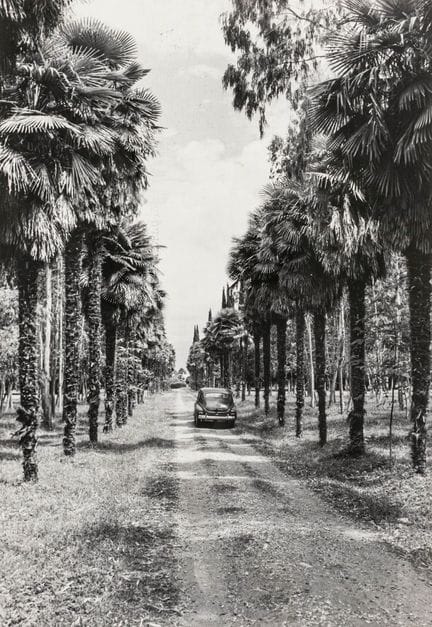 Russia - Unione Sovietica. Raccolta di fotografie 