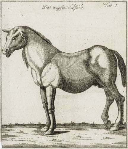 Agriculture - Bruchausen, Anton. Instructions for 