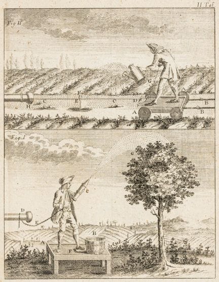 Biology - Botany - Bertholon de Saint-Lazare, Pier