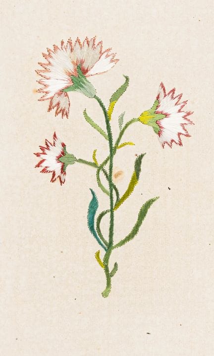 刺绣画——四幅纸本花卉刺绣。德国，18世纪后半叶。尺寸从8.4×5.8厘米至18×10.5厘米不等。