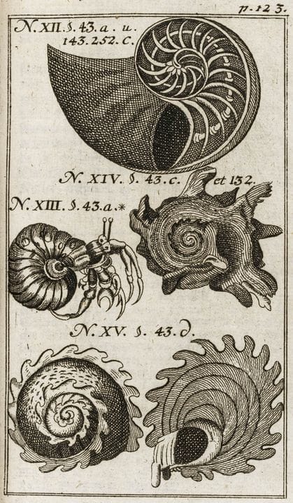 Biology - Zoology - Lesser, Friedrich Christian. *