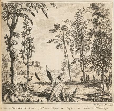 General - Prévost d'Exiles, Antoine-François. Gene